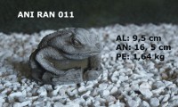 RANA DORMIDA